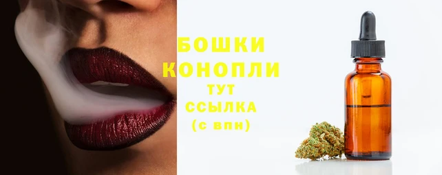 spice Баксан