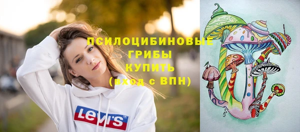 стаф Балахна
